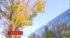 滴滴大数据看用车供需 看社会变迁