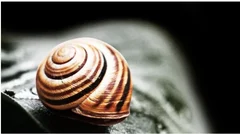 厦工股份转让13套房产实现扭亏为盈