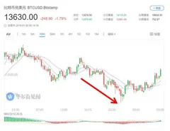比特币去年暴涨近20倍后，创2015年以来首个新年日下跌