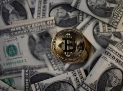 比特币市值蒸发过半，数字货币时代加密货币未来市场如何？